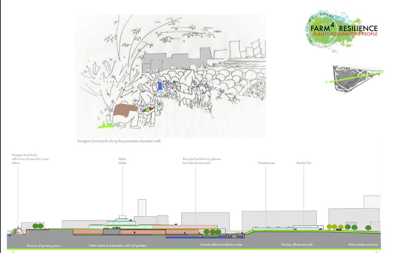 Section drawing of Farm4 Resilience showing foragers’ food bank, terraces, greenhouses, and integrated community spaces for sustainable living.