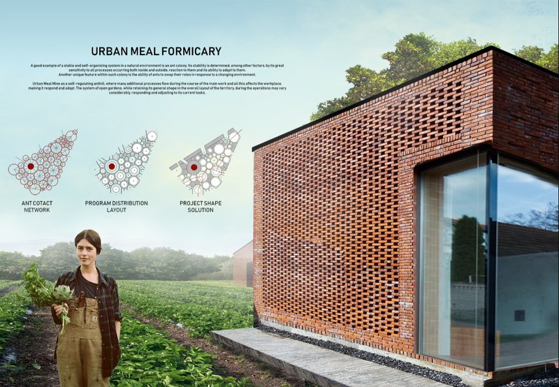 Bio-inspired design shaped by the logic of ant colonies, blending program distribution with adaptive architecture.