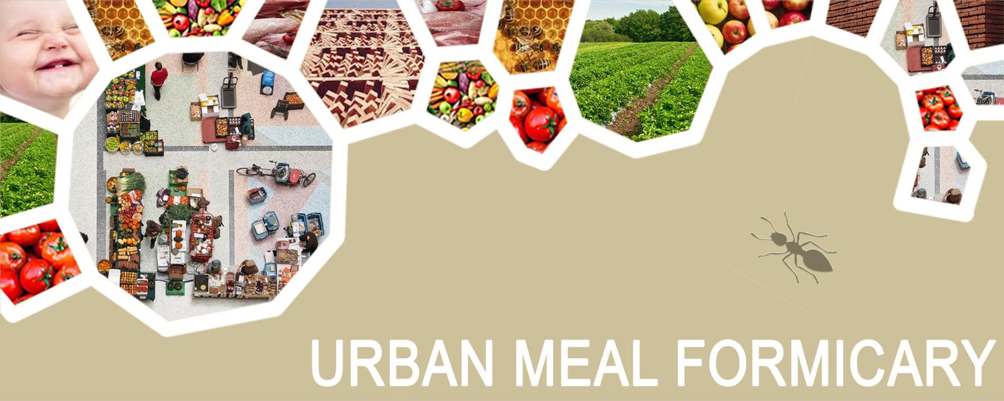 Urban Meal Formicary: Sustainable Architecture for Urban Farming