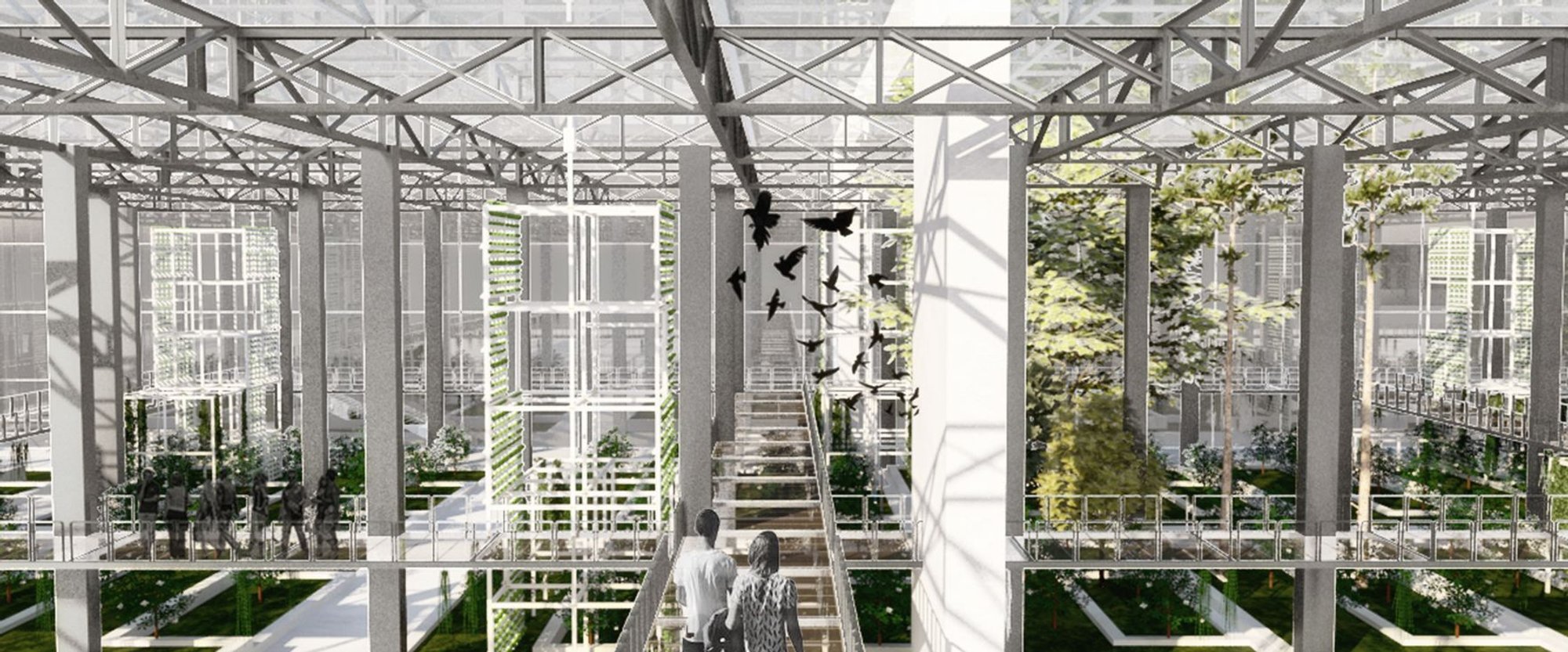 Urban Green Museum: Redefining Sustainable Architecture Through Agriculture