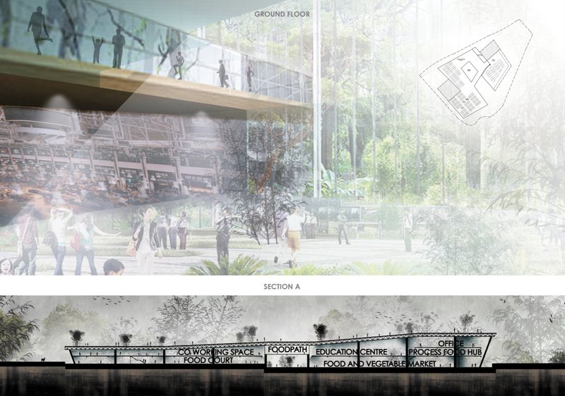 Section drawing through the multi-level market hall with clerestory glazing and rooftop garden