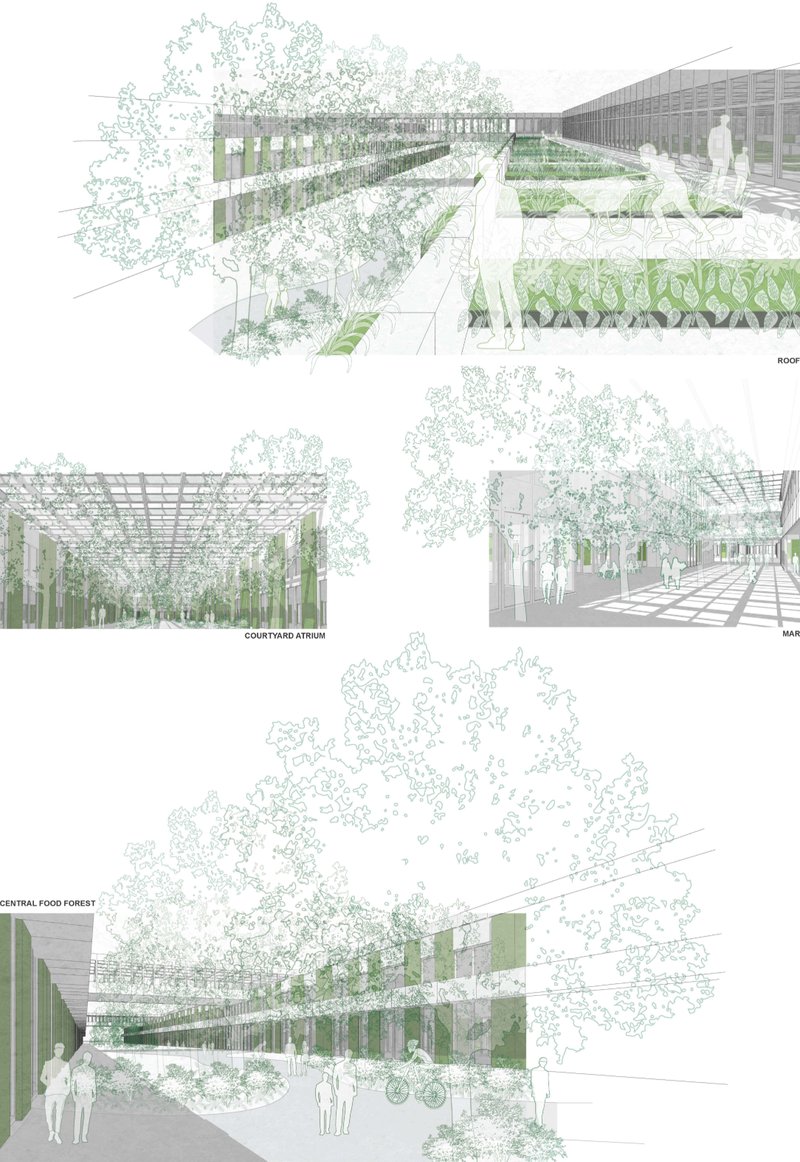 Rooftop farms, atrium courtyards, and central food forests showcase the integration of agriculture into sustainable architecture.