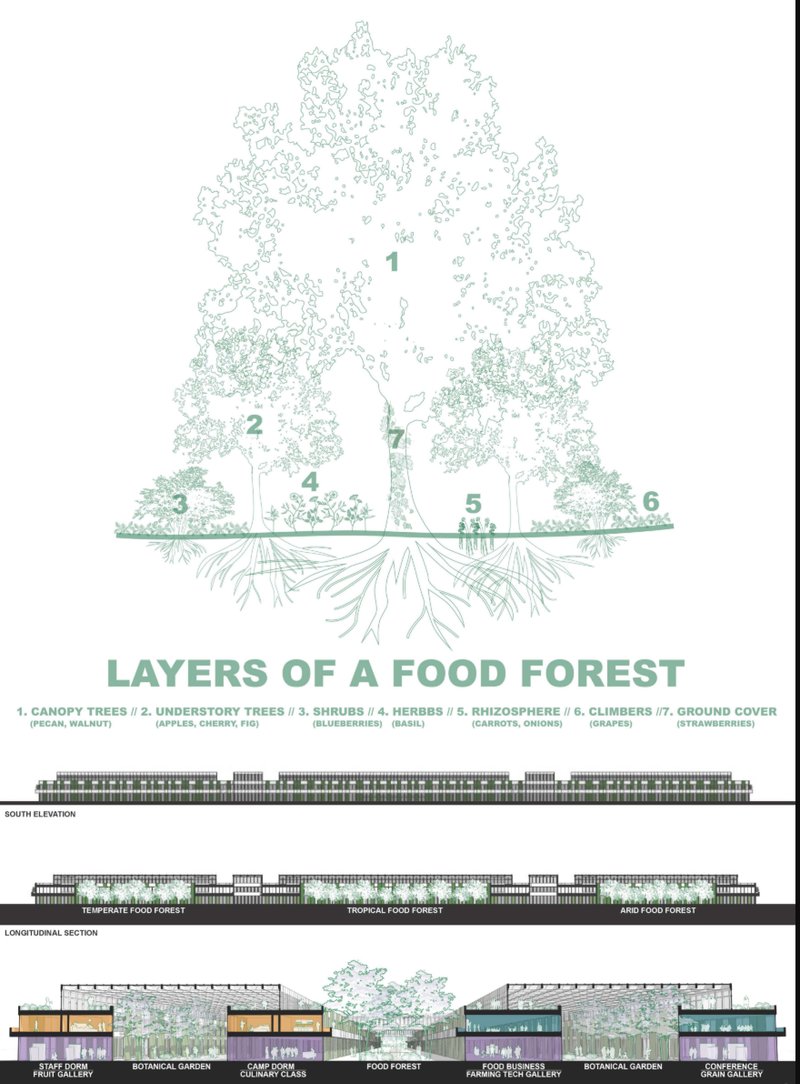 A multi-layered ecosystem of canopy trees, shrubs, herbs, roots, and climbers designed to mimic natural forests in an urban setting.