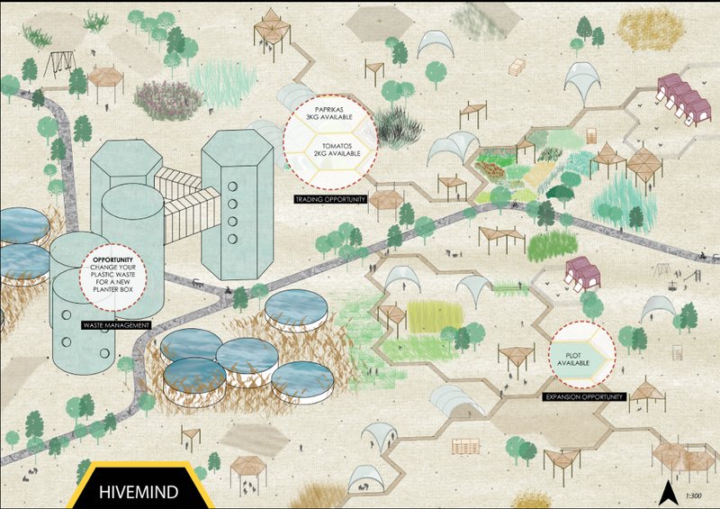 Hexagonal farm network with waste management and trade opportunities.