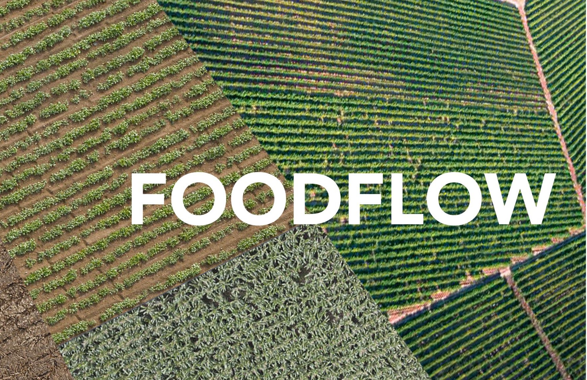 FoodFlow: A Model for Sustainable Architecture and Urban Farming