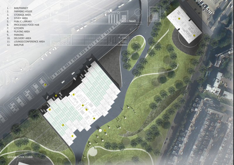 Education, workshops, and co-working spaces fostering knowledge-sharing and innovation.