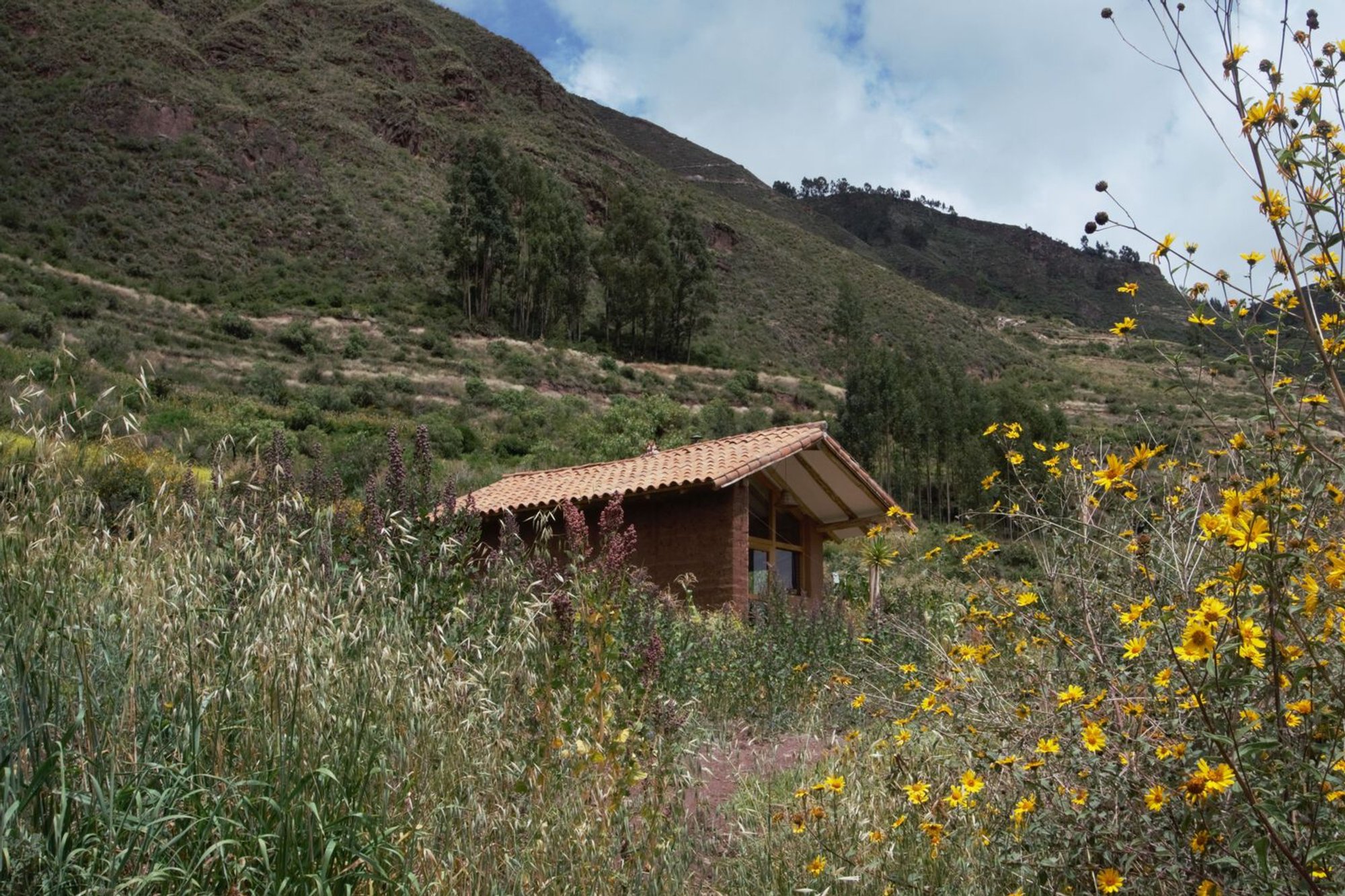 Feliciana Cabin by Taller MACAA