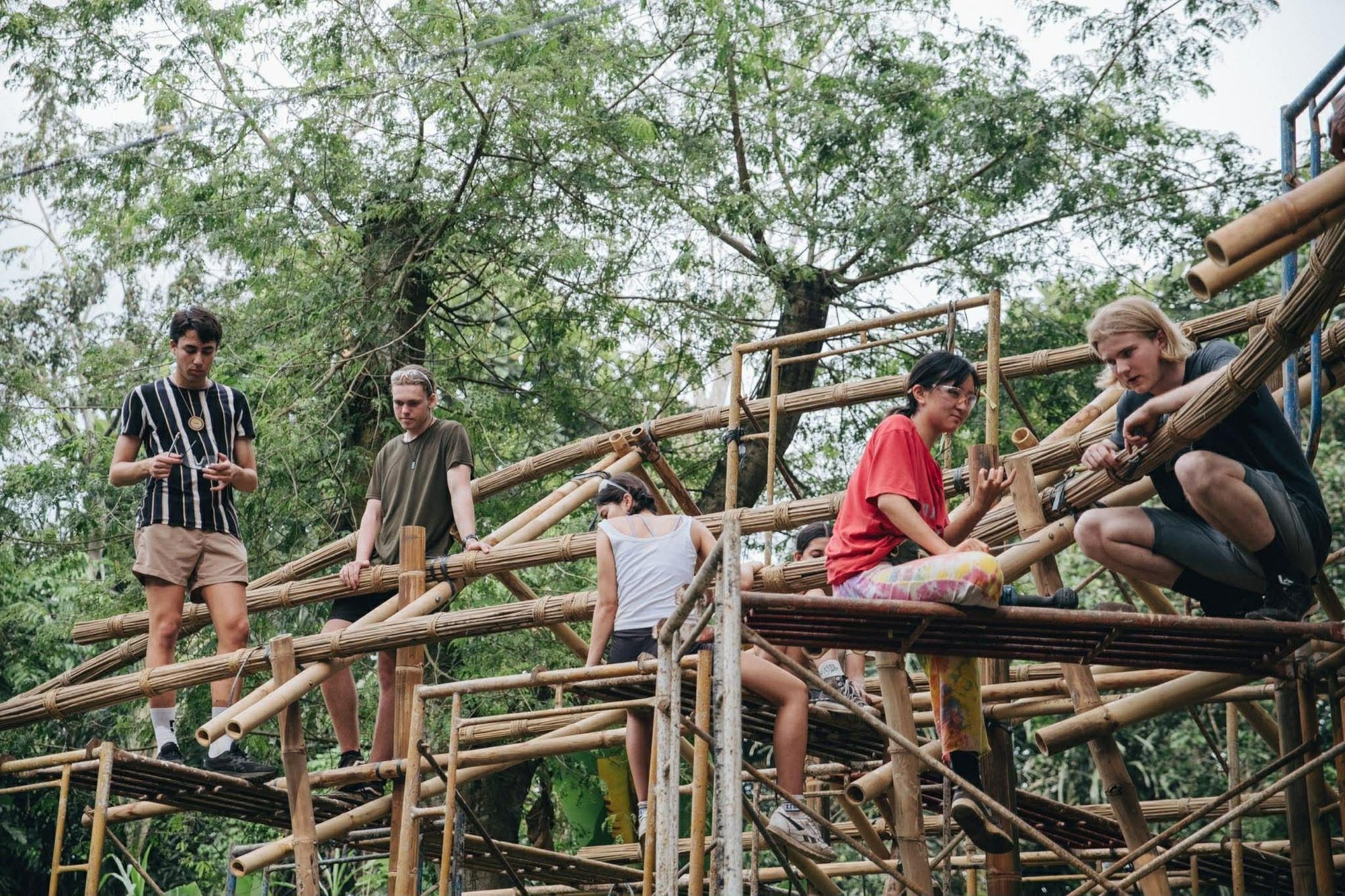 Bamboo Housing Challenge 2026: Design Affordable, Sustainable Homes Using Bamboo