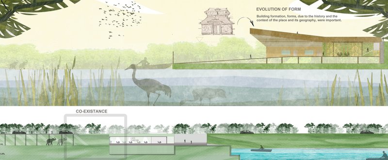 Sectional strategy illustrating layered built-unbuilt relationships and cross-species spatial thresholds.