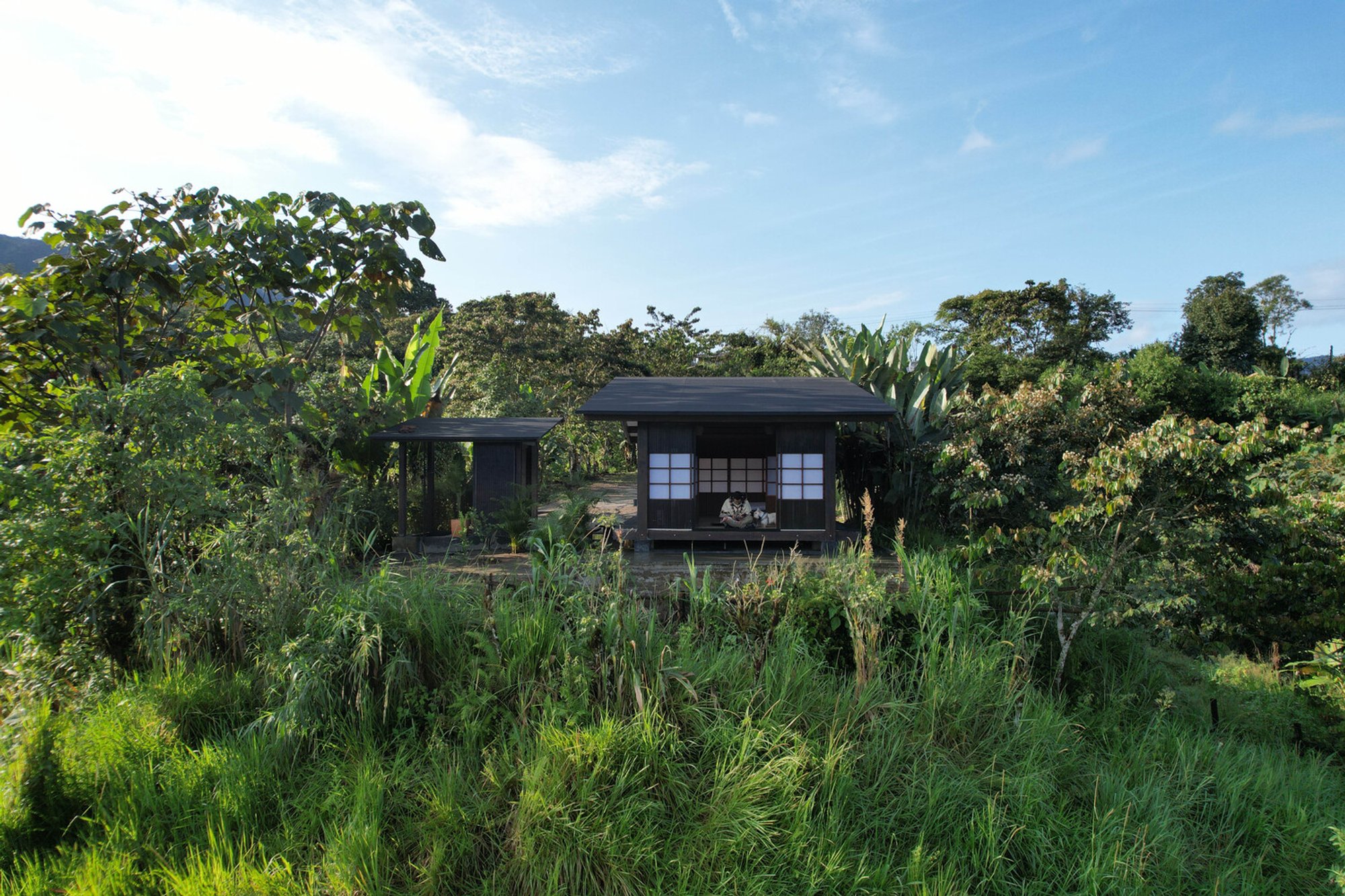 Irori Refuge by Baquio Arquitectura: A Sensory Forest Retreat in Nanegalito, Ecuador