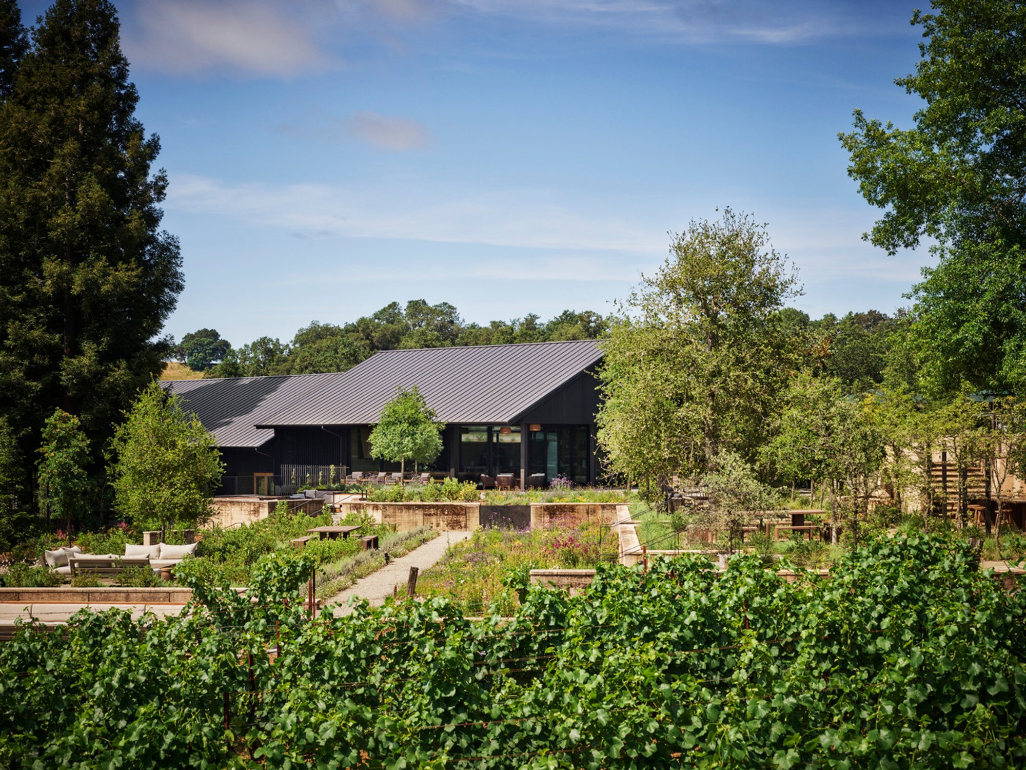 Flowers Winery Renovation by Walker Warner Architects: A Sustainable Hospitality Experience in Healdsburg