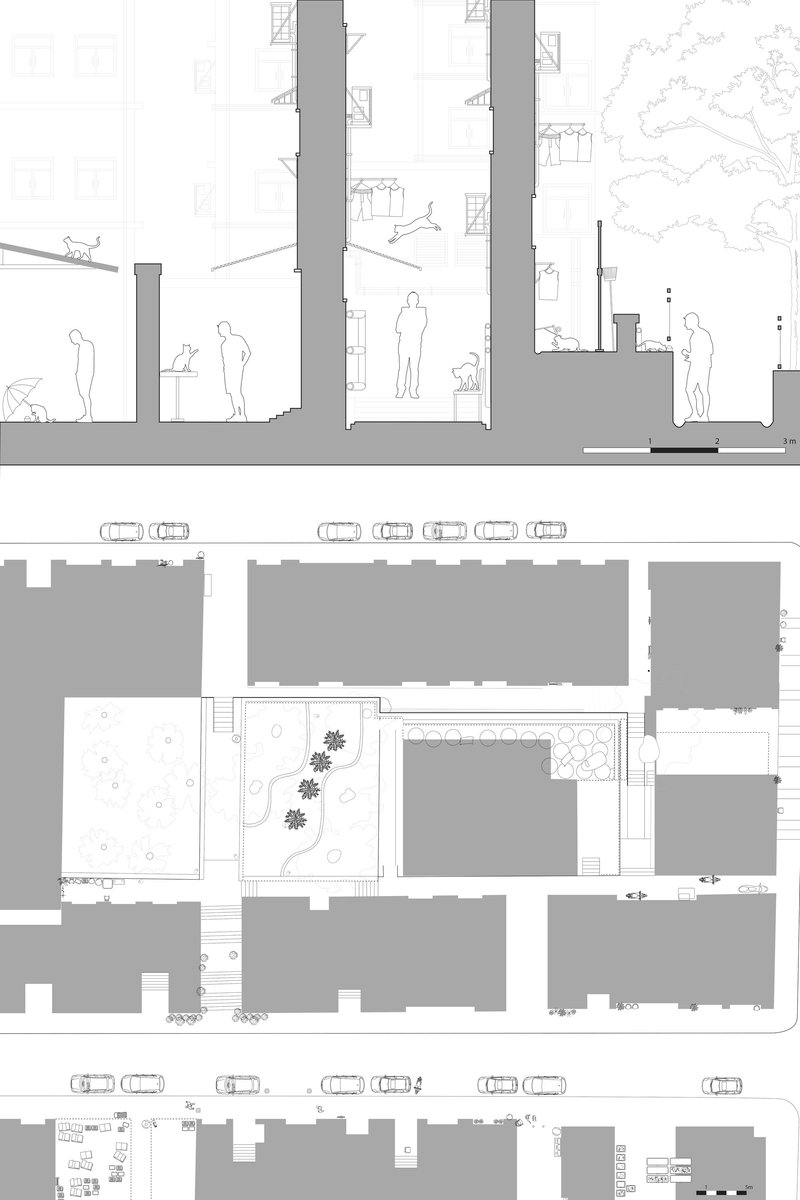 Sectional study illustrating vertical human–cat coexistence within dense alley infrastructure.