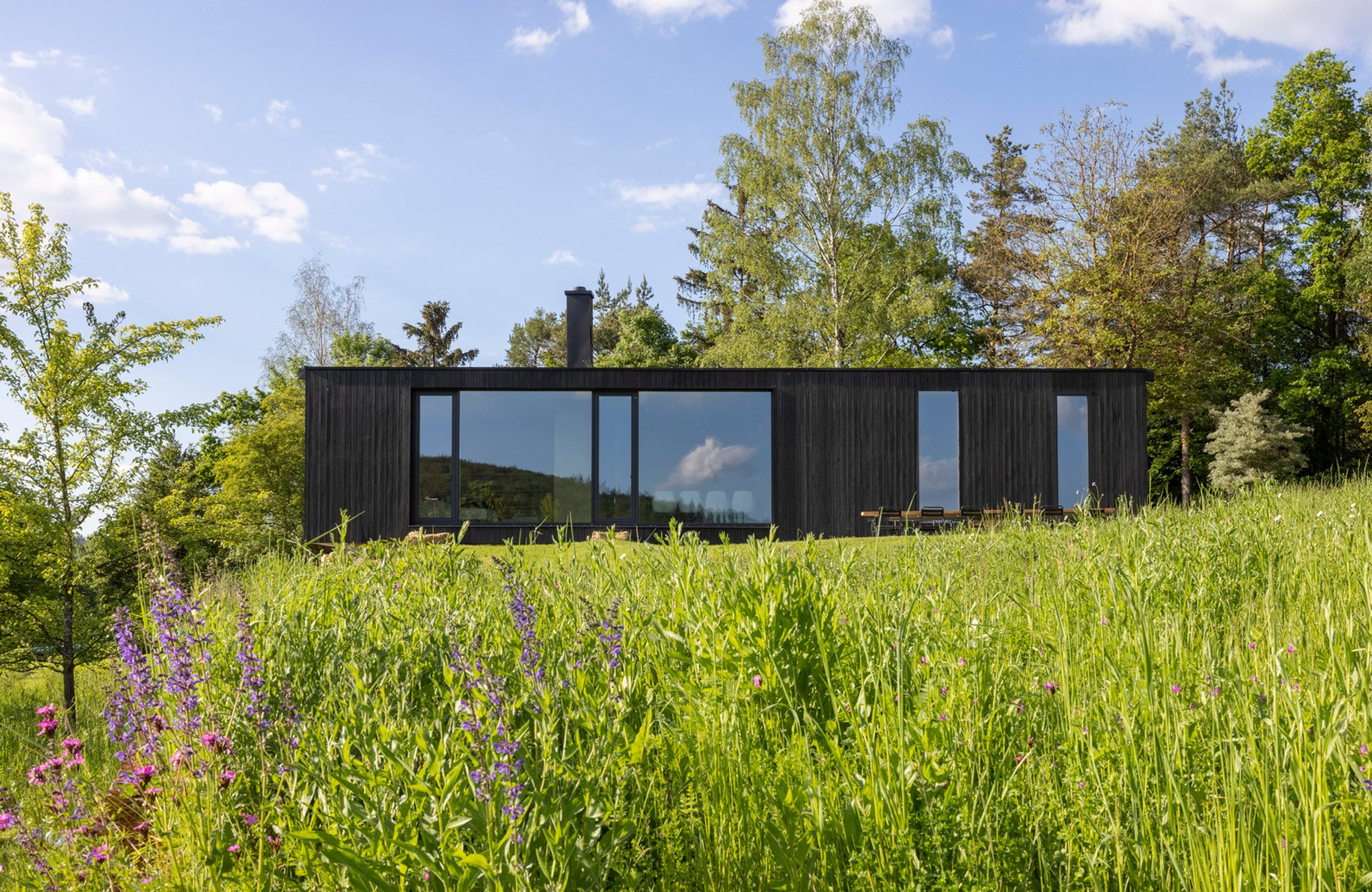 Komorebi House by QueckArchitektur: A Minimalist Timber Home Rooted in Landscape and Light