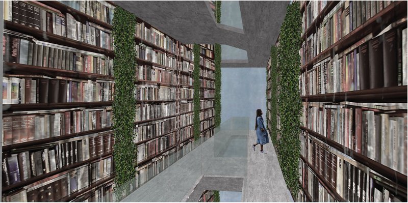 Towering bookshelves and biophilic walls transform reading into an immersive spatial experience.