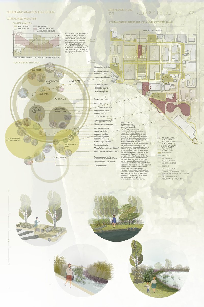 Native, salt-tolerant species structured to stabilize soil, reduce salinity, and restore ecological balance.