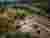 Enfold Pavilion: A Serene Soundscape at Wonderfruit Festival