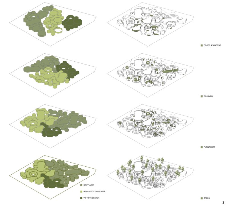 Organic layout evolution showing zonal distribution of rehabilitation, staff, and visitor spaces.
