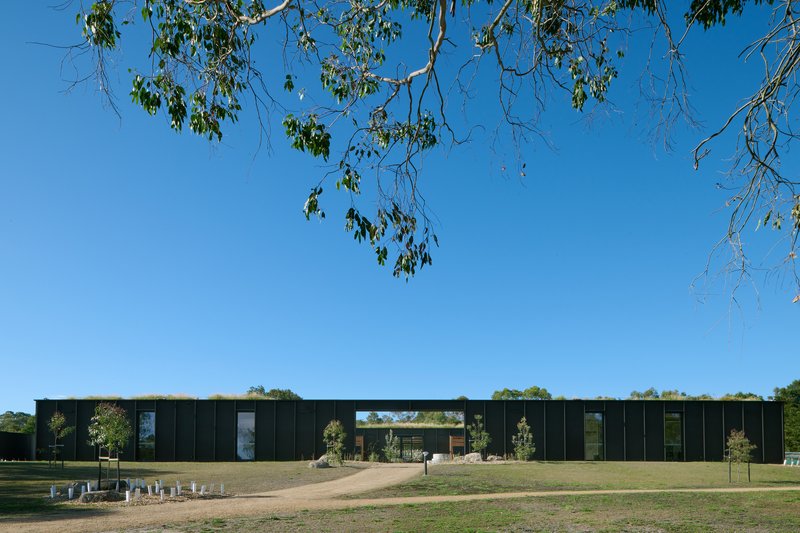 Distant view of the long low building from the surrounding bushland with gum trees in the foreground