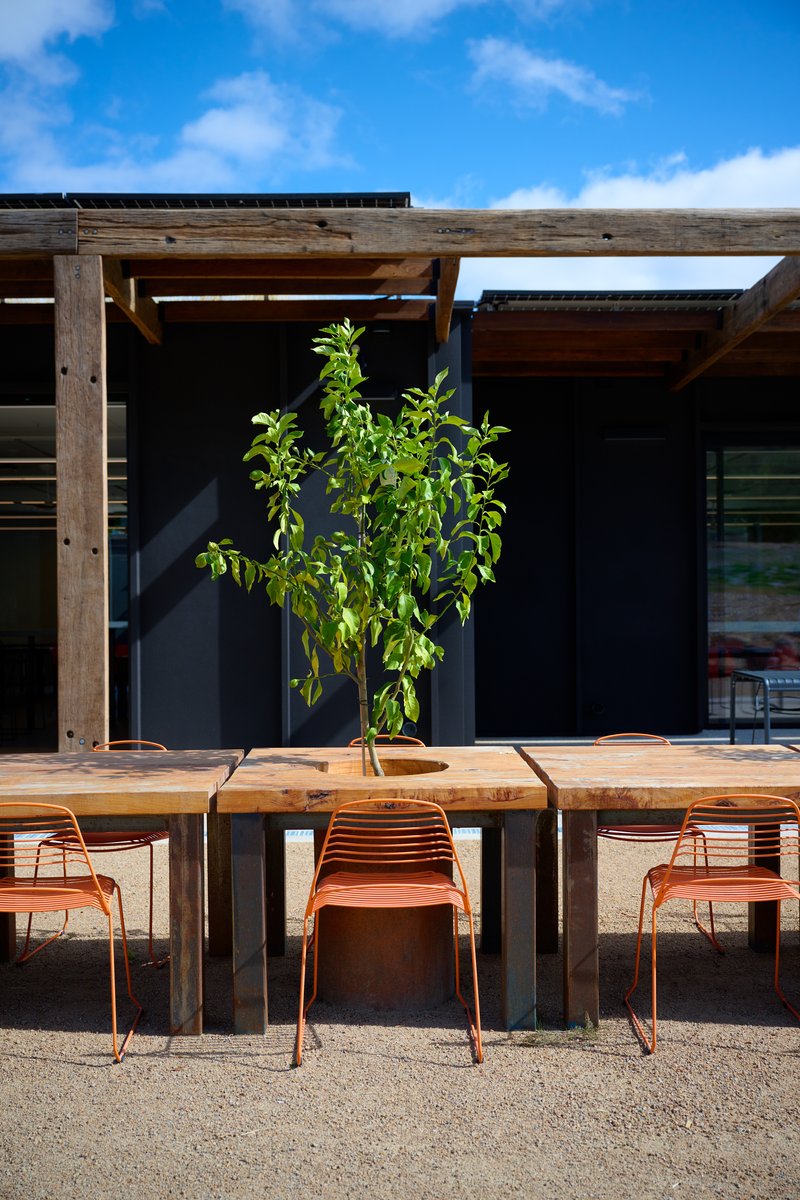 Outdoor courtyard with a reclaimed timber pergola, a long recycled-hardwood table with a planted centre and rust-coloured metal chairs