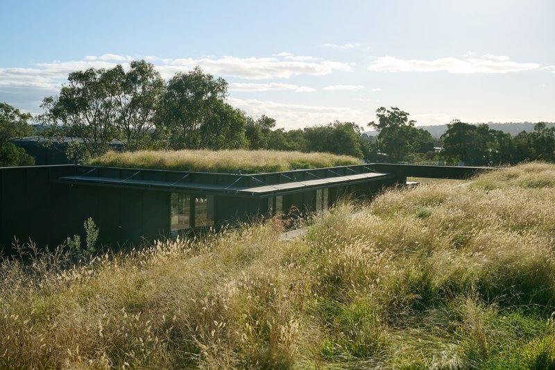 Woodleigh Futures Studio: A Meadow Roof on a School