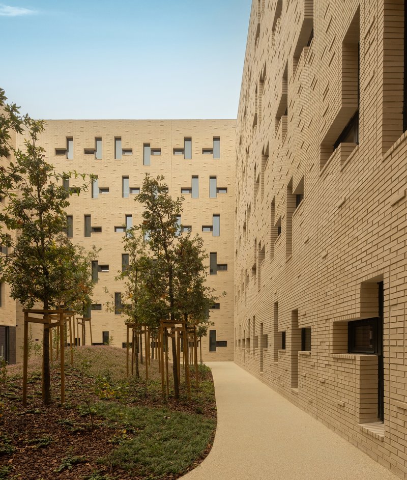 Landscaped pathway between buff brick facades with young trees and planted beds