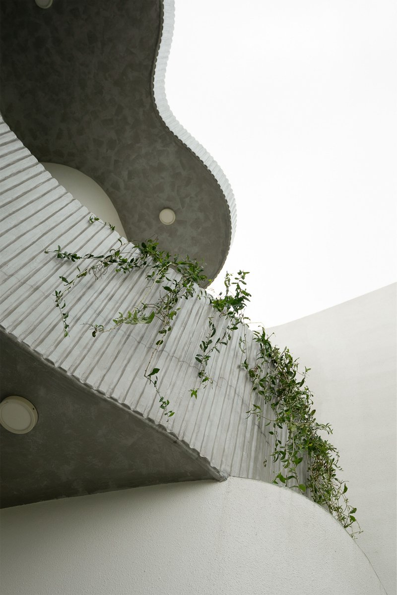 Curving white staircase with ribbed underside and trailing vines against concrete soffit