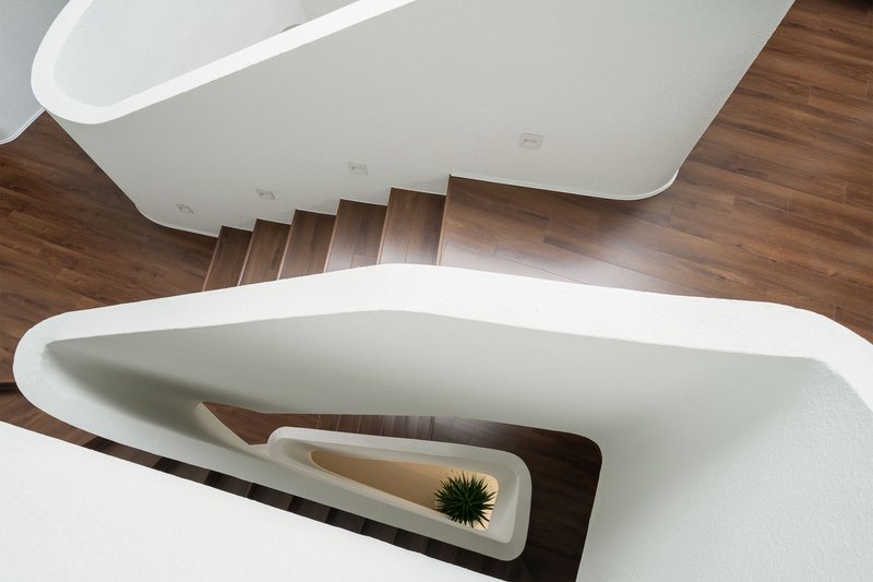 Top-down view of curving white staircase with timber treads and recessed planter holding small plant