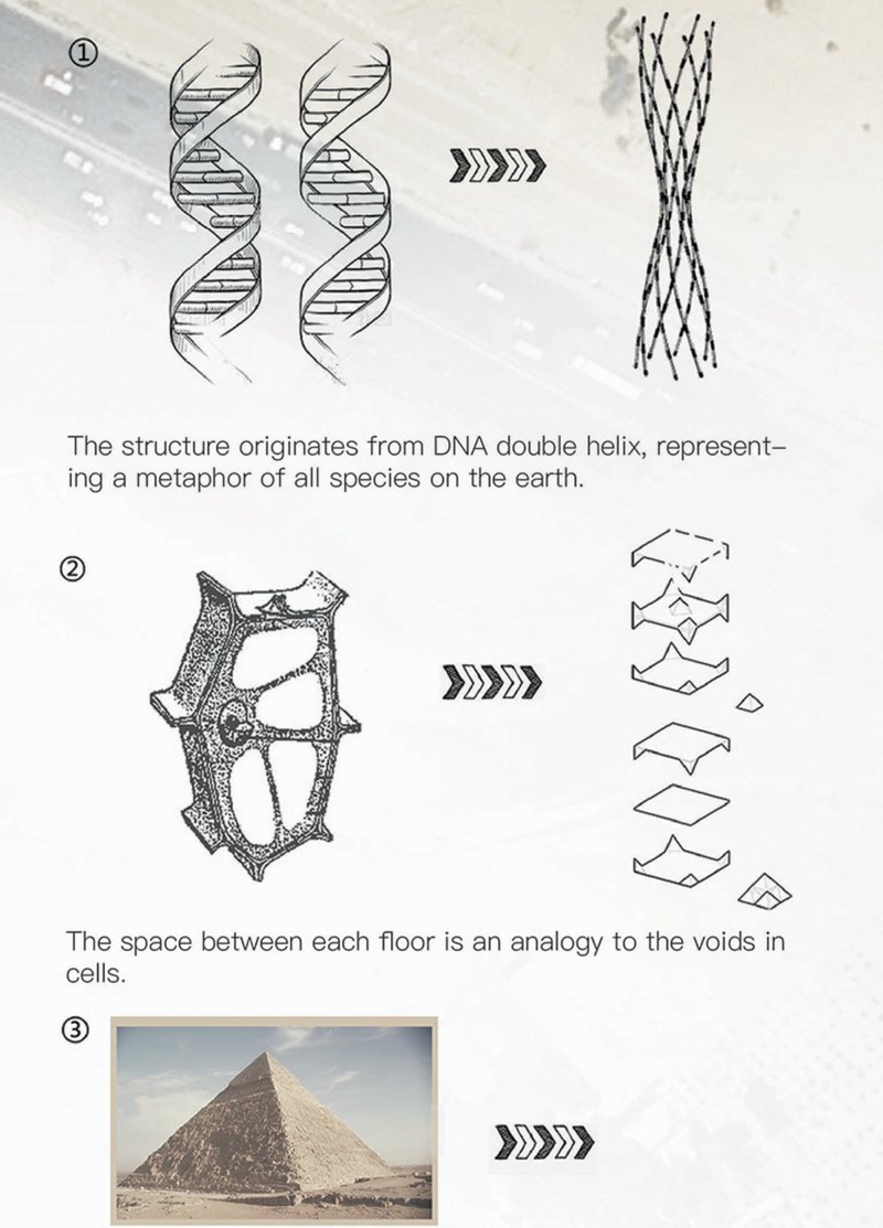 Form evolution derived from DNA geometry, cellular structures, and pyramid typologies.