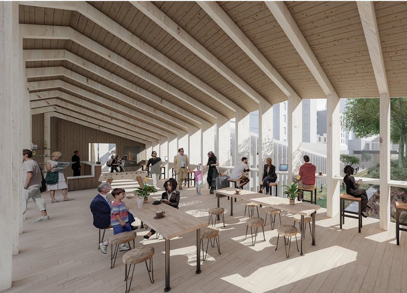 Warm timber interiors create a flexible communal environment for dining, working, and informal interaction.