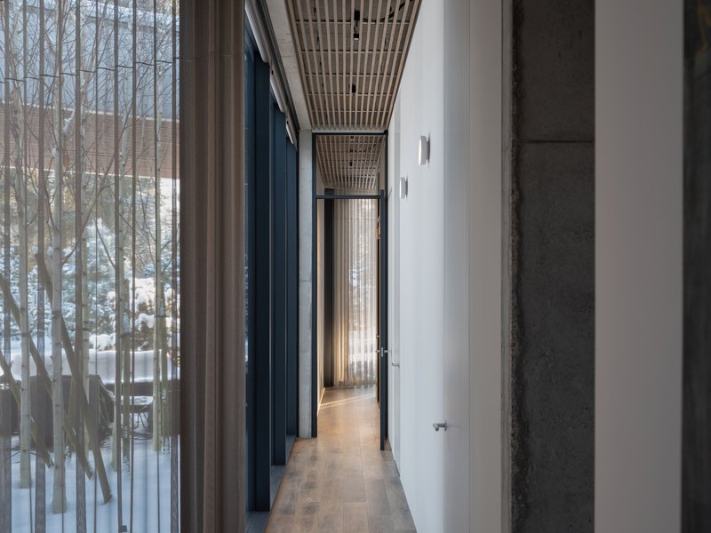 Corridor with timber slat ceiling and glazed wall overlooking bare winter trees