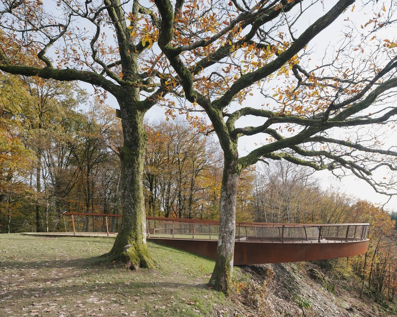 Side view of the looped walkway threading between two large oaks