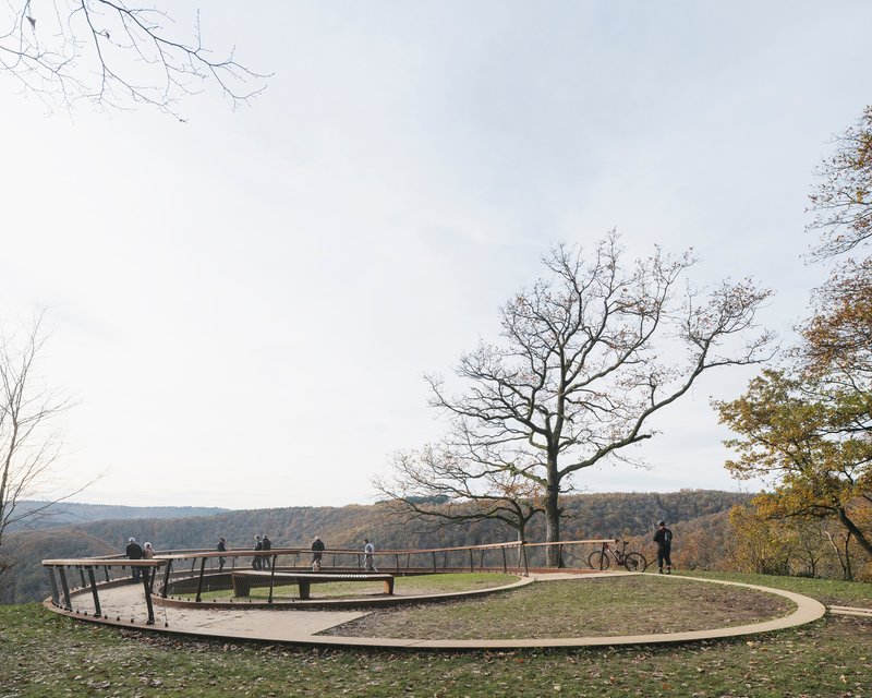 Wide view of the closed circular loop with a central tree and a path entering