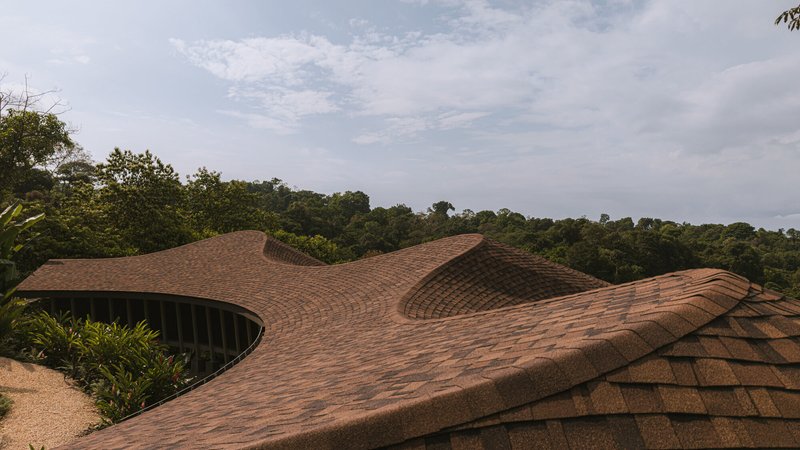 Detail of the curved shingled roof showing the way the surface twists and folds like a leaf