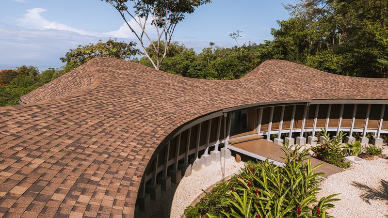 Close-up of the roof edge revealing the slender timber columns and the continuous curving form