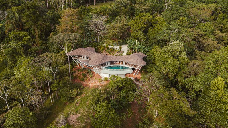 Aerial view of the house nestled into the dense Costa Rican jungle with a curved roof form emerging from the canopy