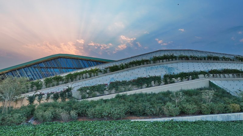 Planted terraces cascading down the concrete and glass facade at dusk