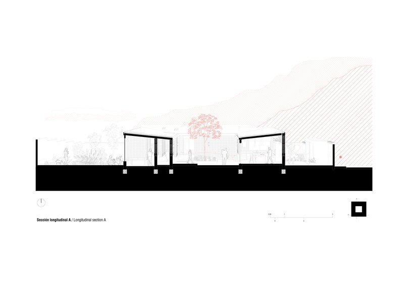 Longitudinal section drawing showing interior spaces with pitched roof and a central tree