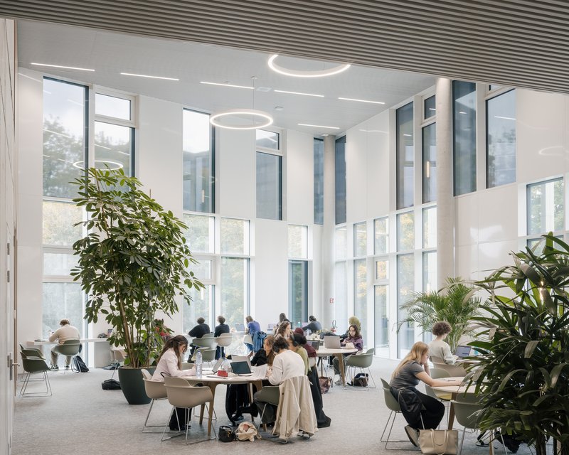 Library reading hall with planted seating zones and circular pendant lights