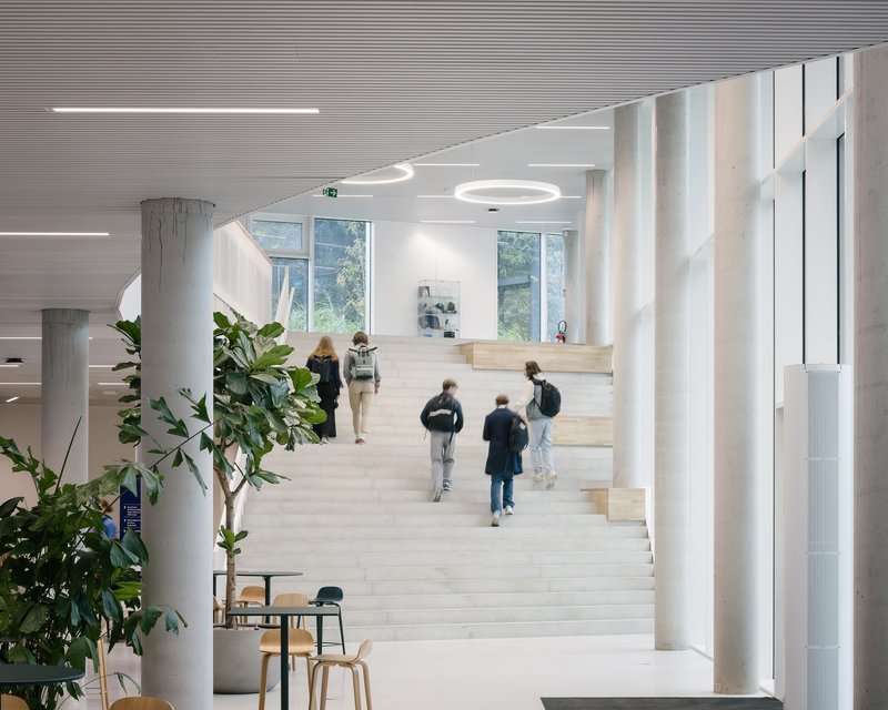 Wide internal stair leading up from the entrance level into the library