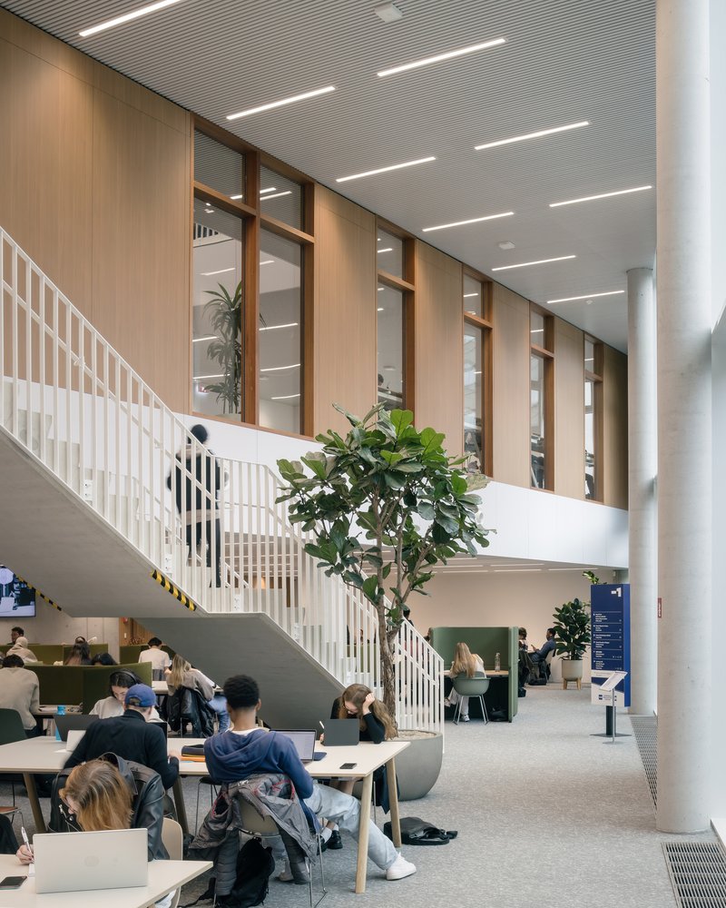 Open study area beneath the cantilevered upper floor with a feature tree