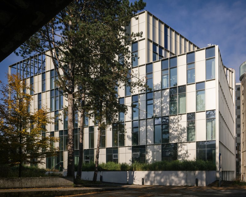 The new volume seen through campus pine trees on a sunny afternoon