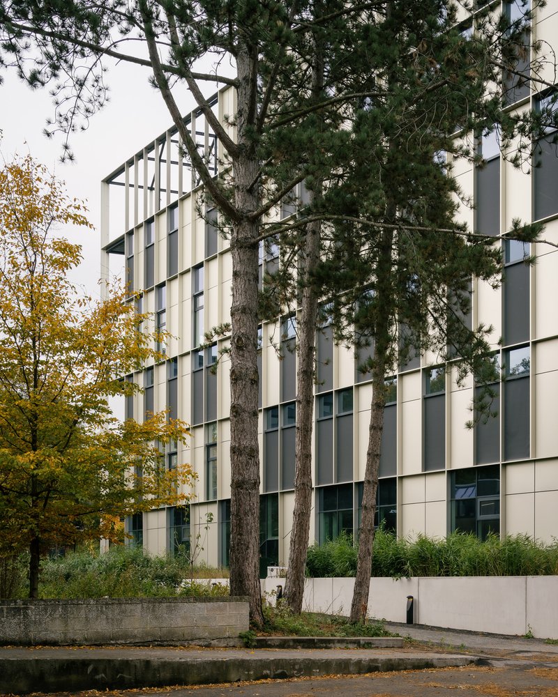 Facade fragment framed by mature pines on the campus side