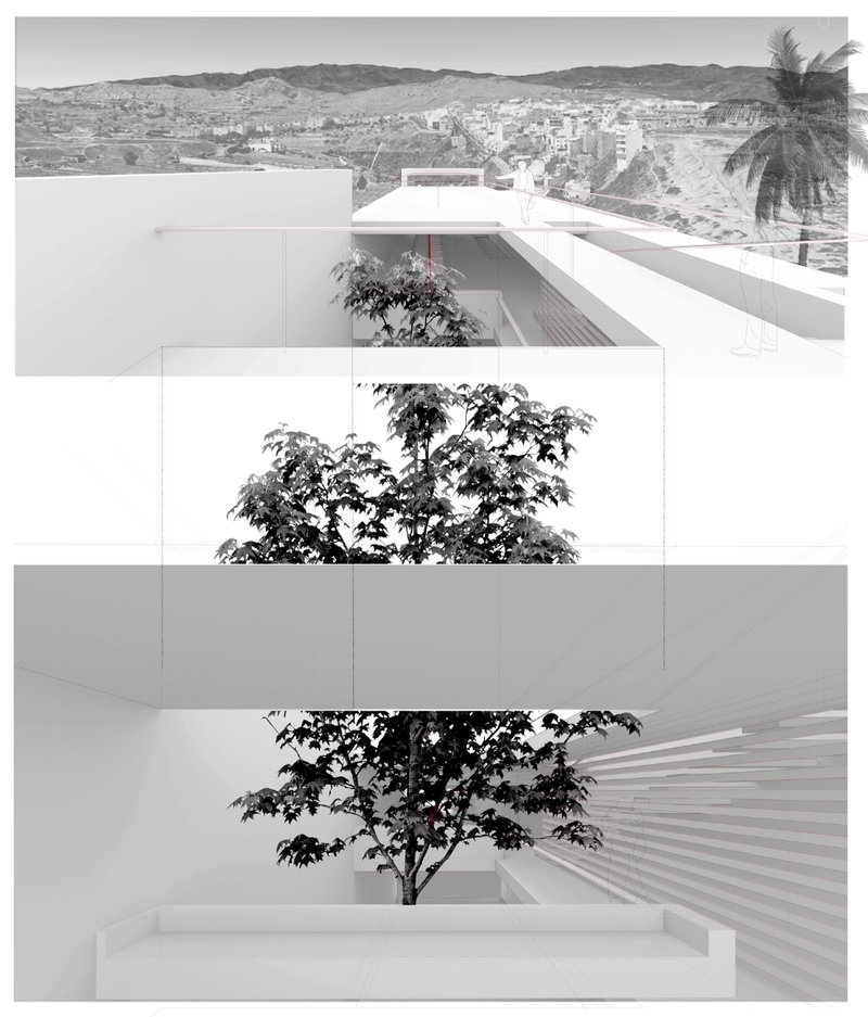 Framing the valley through layered architectural sections and open terraces.