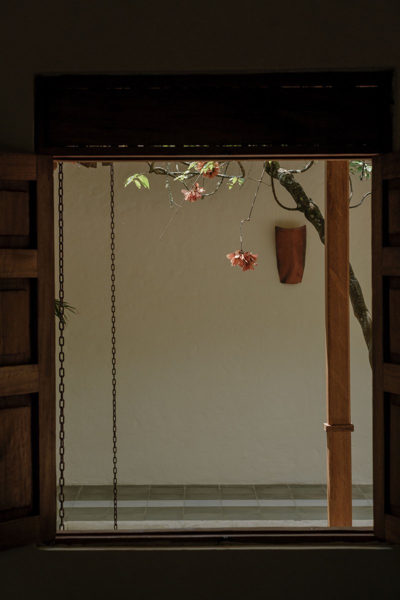 Window framing a view of a wooden column and flowering tree branch against a pale exterior wall