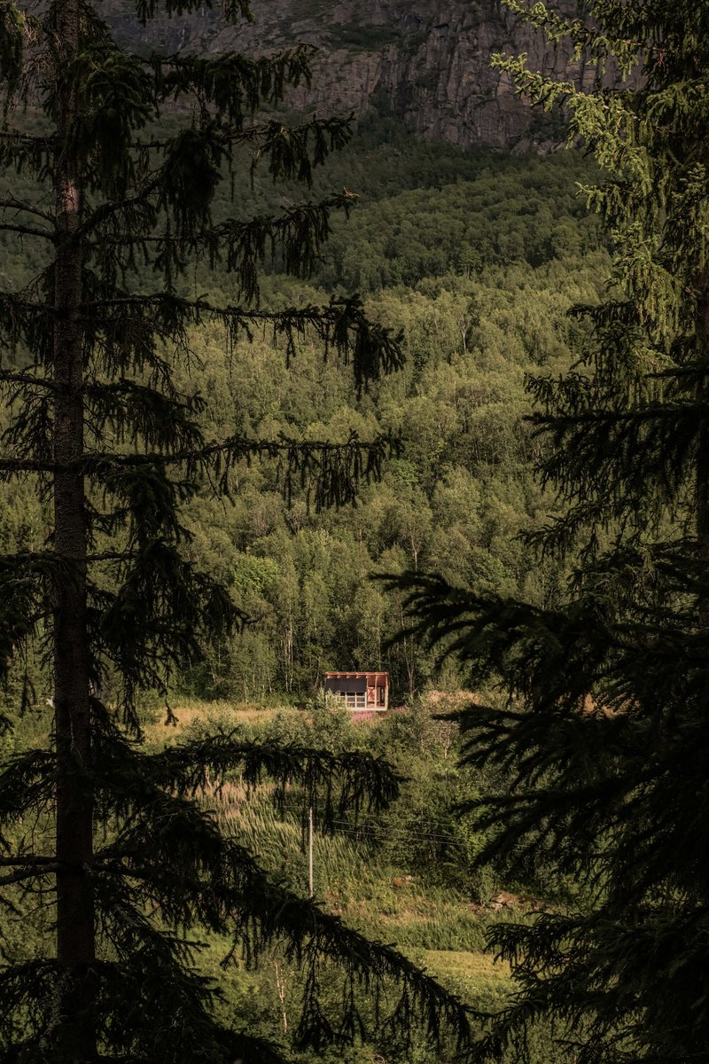Distant view of the small timber structure through evergreen trees in a mountain clearing