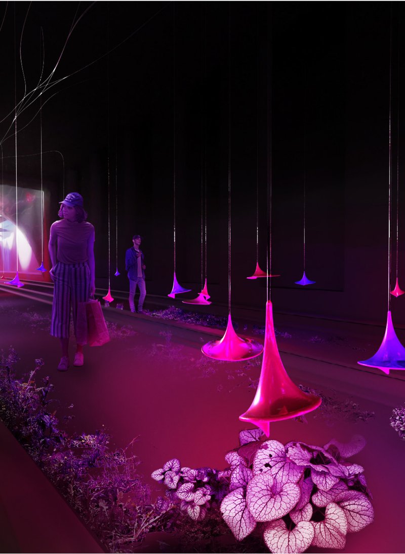 Subterranean installation redefines urban infrastructure through light-responsive elements and ecological integration.