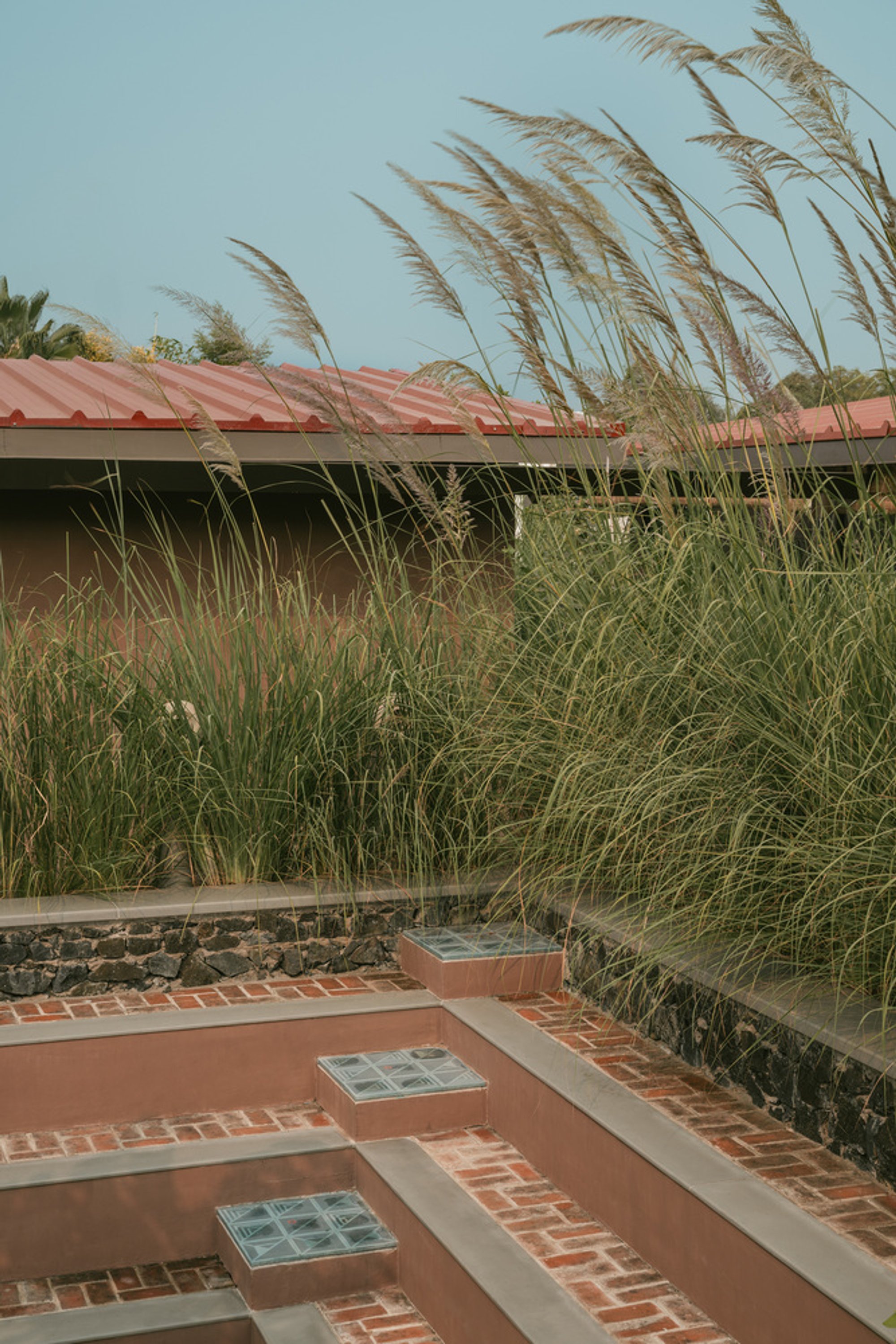 Oasis Studio in Ahmedabad: A Landscape-Integrated Architecture Workspace by Studio Saransh