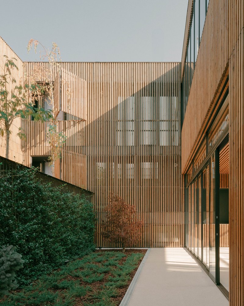 Exterior walkway with vertical timber cladding and planted slope adjacent to glazed corridor