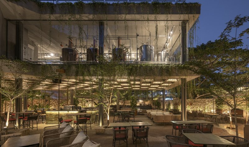 Evening view of two-level terrace with planted rooftop parapet and dining seating below