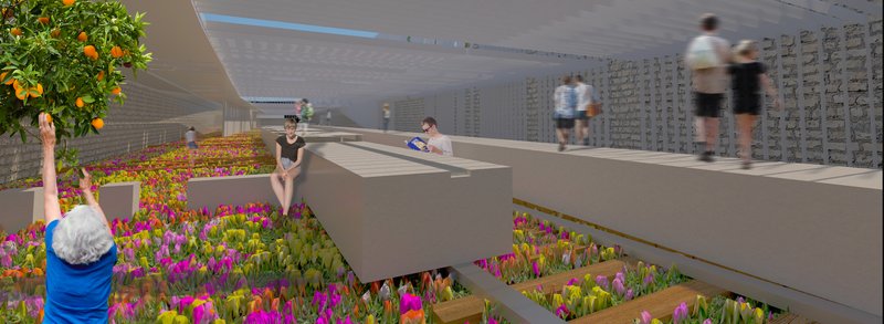 Light, structure, and landscape merge into an immersive public experience.